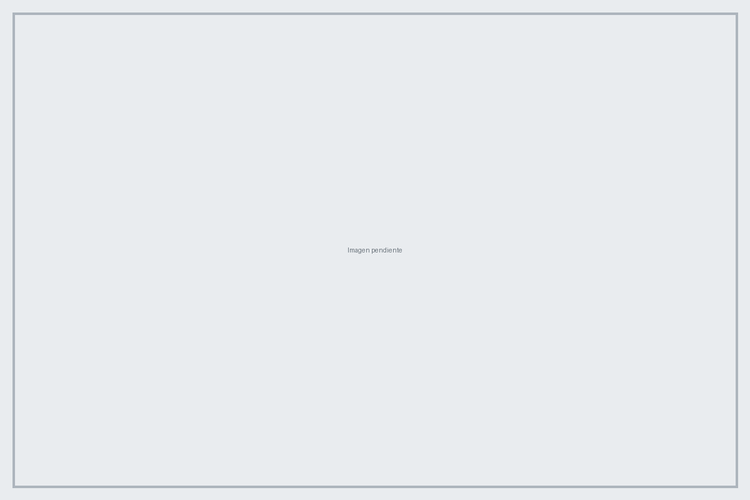 Instructivos y trámites para empresas