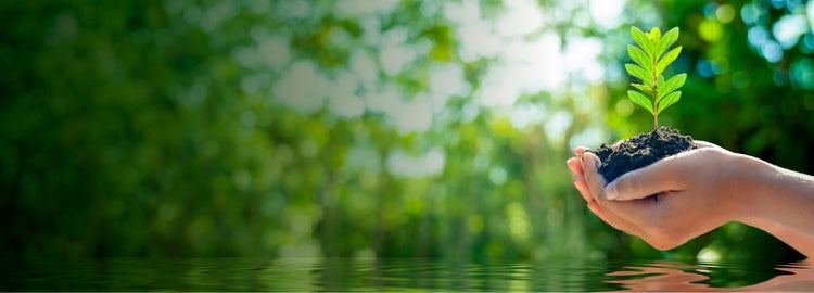 Gestión Ambiental