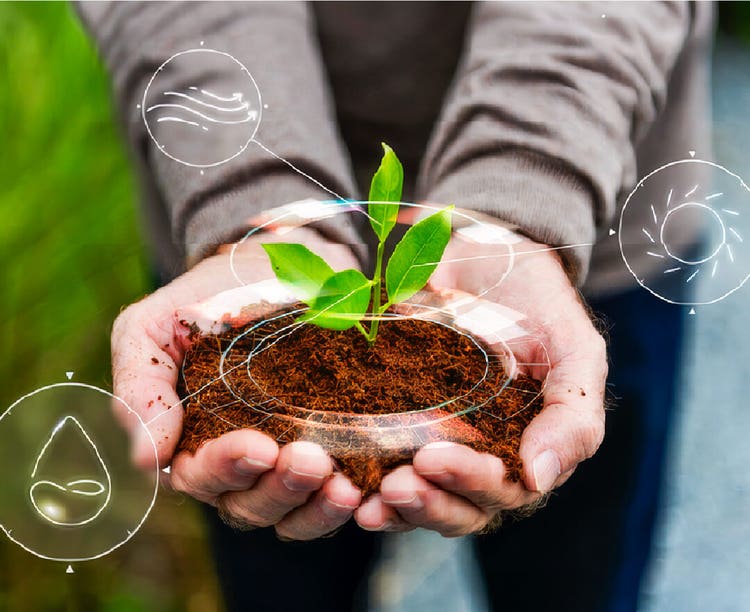 Avances gestión ambiental Cafam