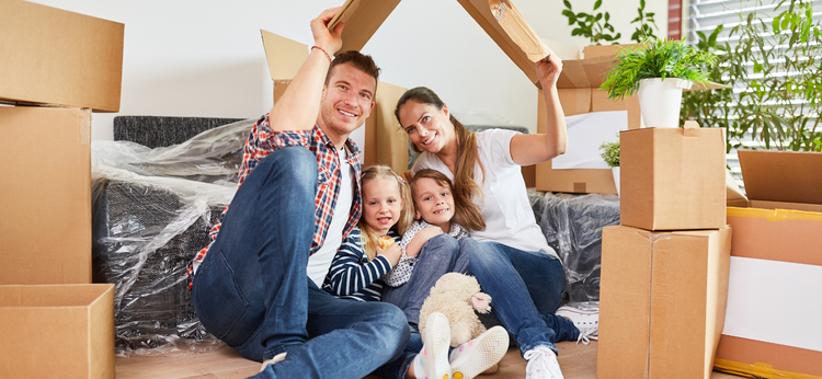 Todo en un solo lugar para tu vivienda